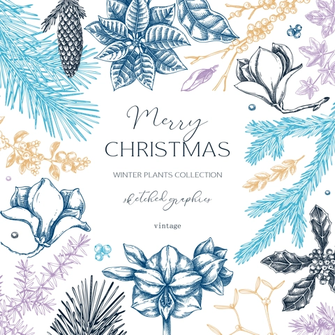 Winter nature frame design. Merry Christams card template. Conifer trees, winter flowers sketches. Hand-drawn vector illustration. NOT AI generated